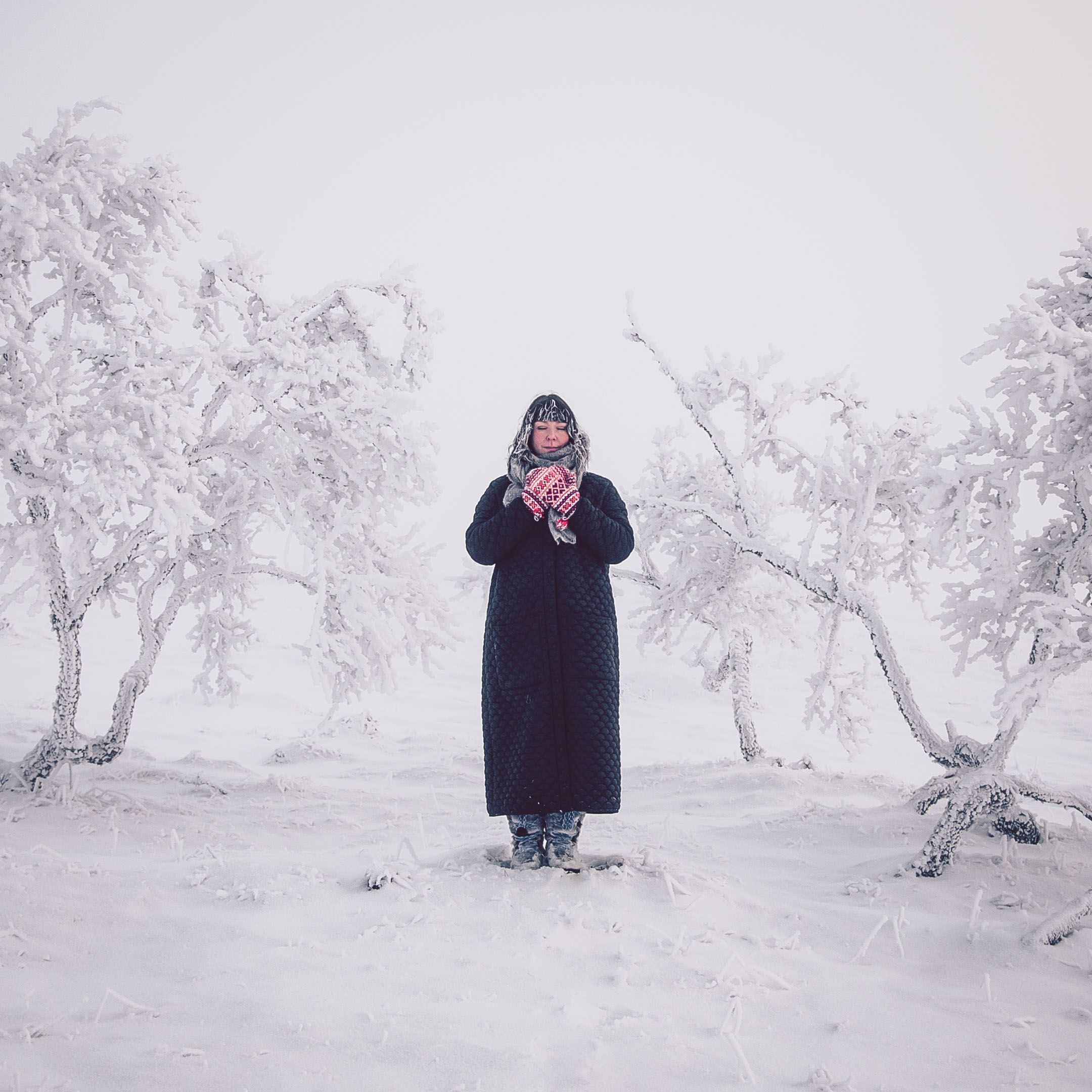 5Y8A4087 Valokuvaus palvelut. Revontulien kuvaukset Lappi. Alexander. Kuznetsov.