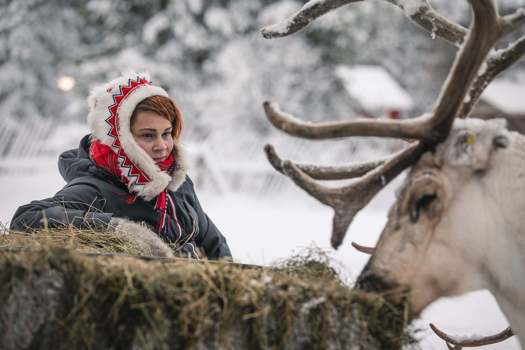 pororeseptit-bts-all-about-lapland-24 Lapin Sotilassoittokunta – Lapland Imagery. Video ja valokuvaukset Lapissa Nuorgamissa.