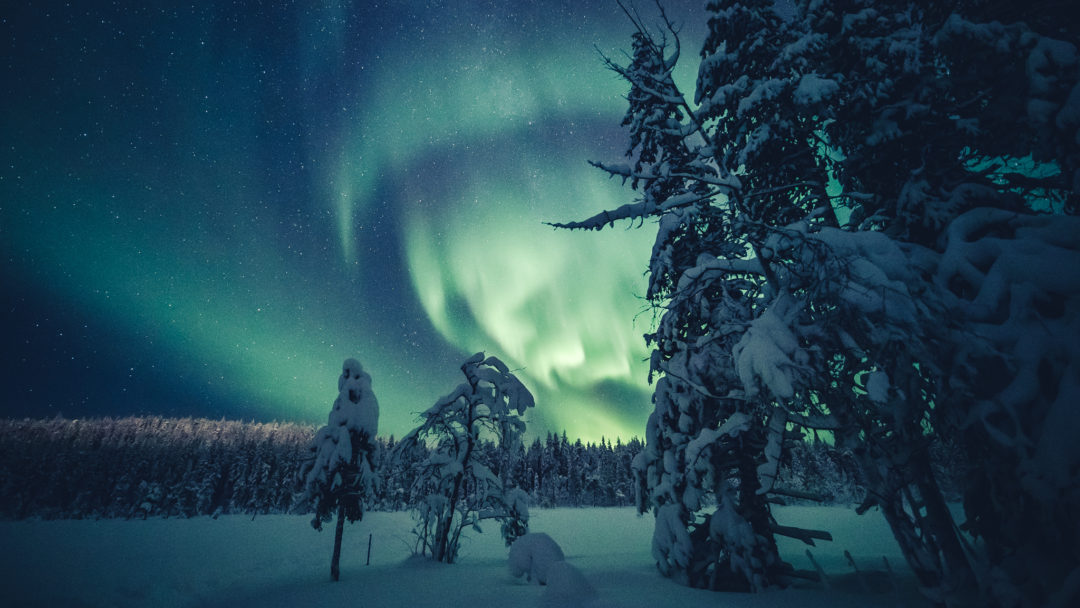Northern Lights 18.12.2019 in Ylläs Lapland Finland. Photo by Alexander Kuznetsov / All About Lapland