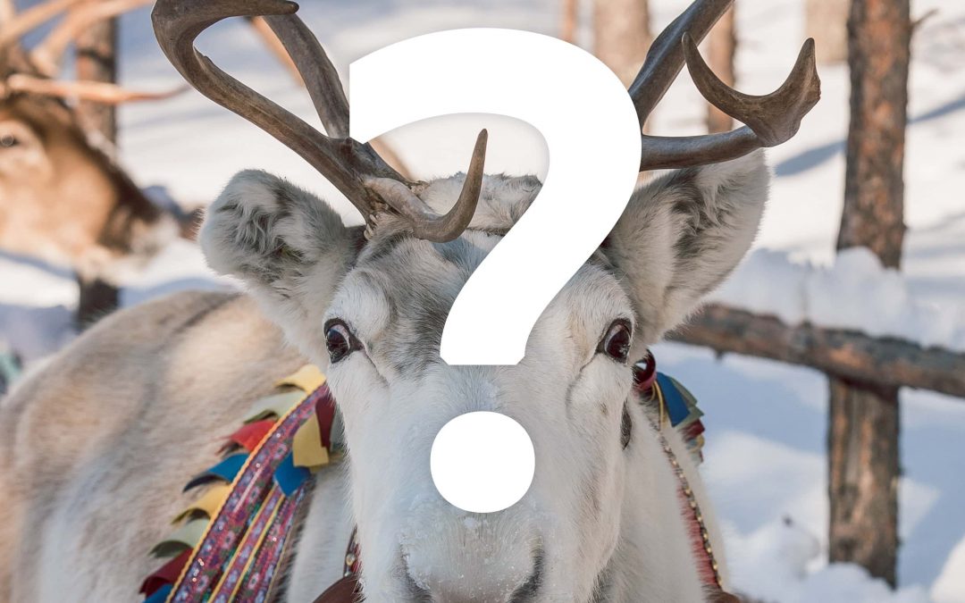 Is there future for tourism in Lapland? Podcast episode 9 discussing the latest easing of travel restrictions to Finland.
